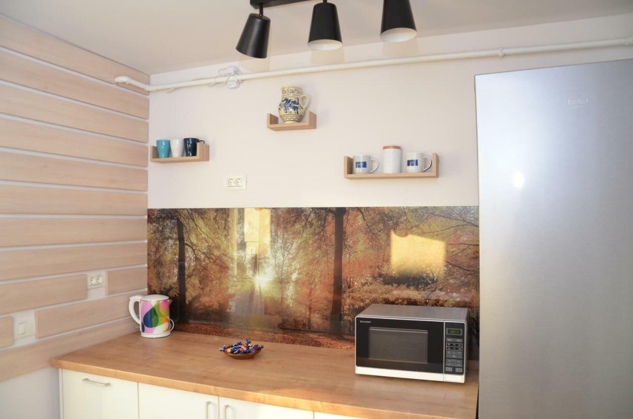 Modern And Cozy Apartment Piteşti Buitenkant foto